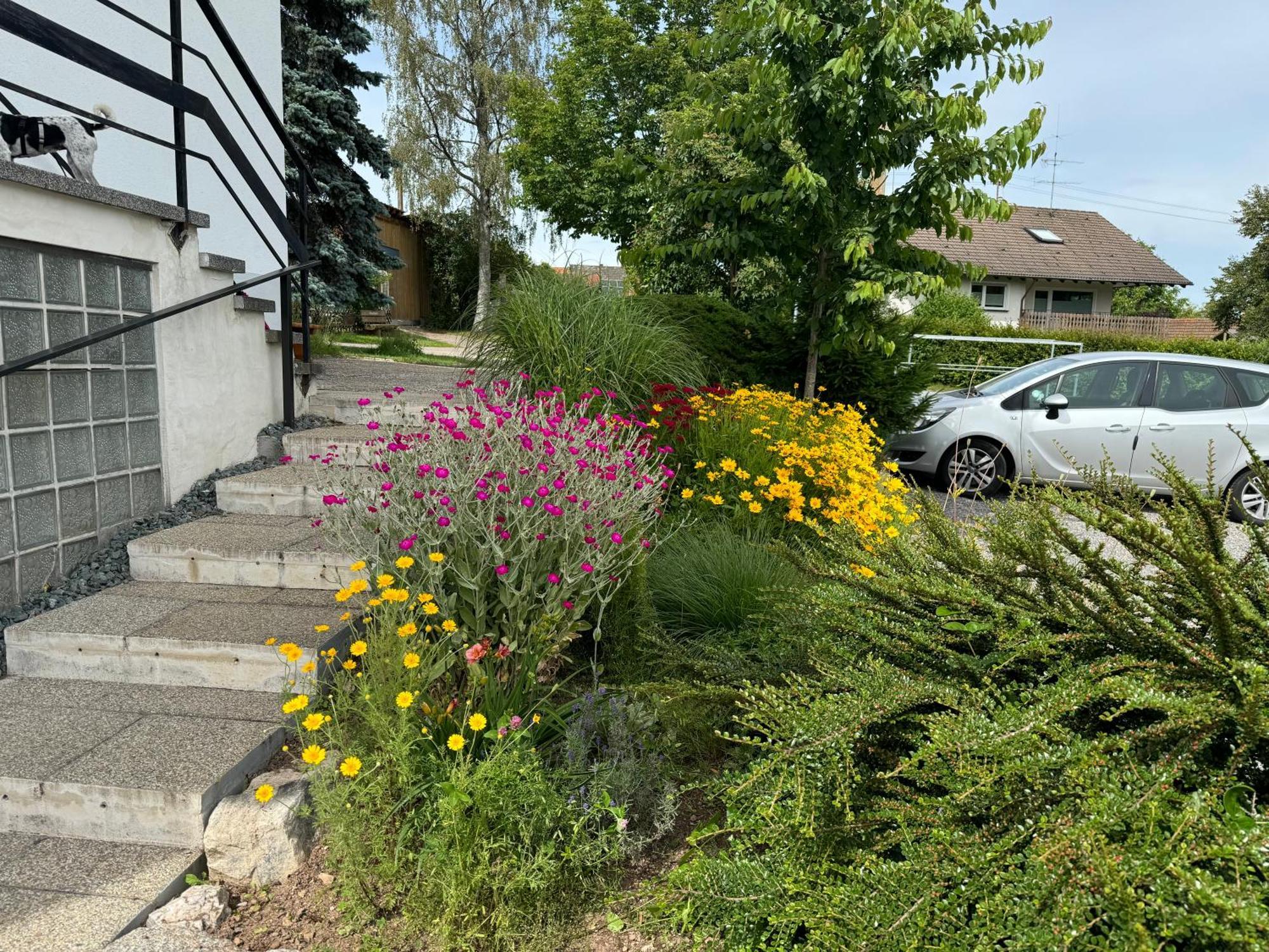 Haus Waldeck Apartment Uehlingen-Birkendorf Luaran gambar